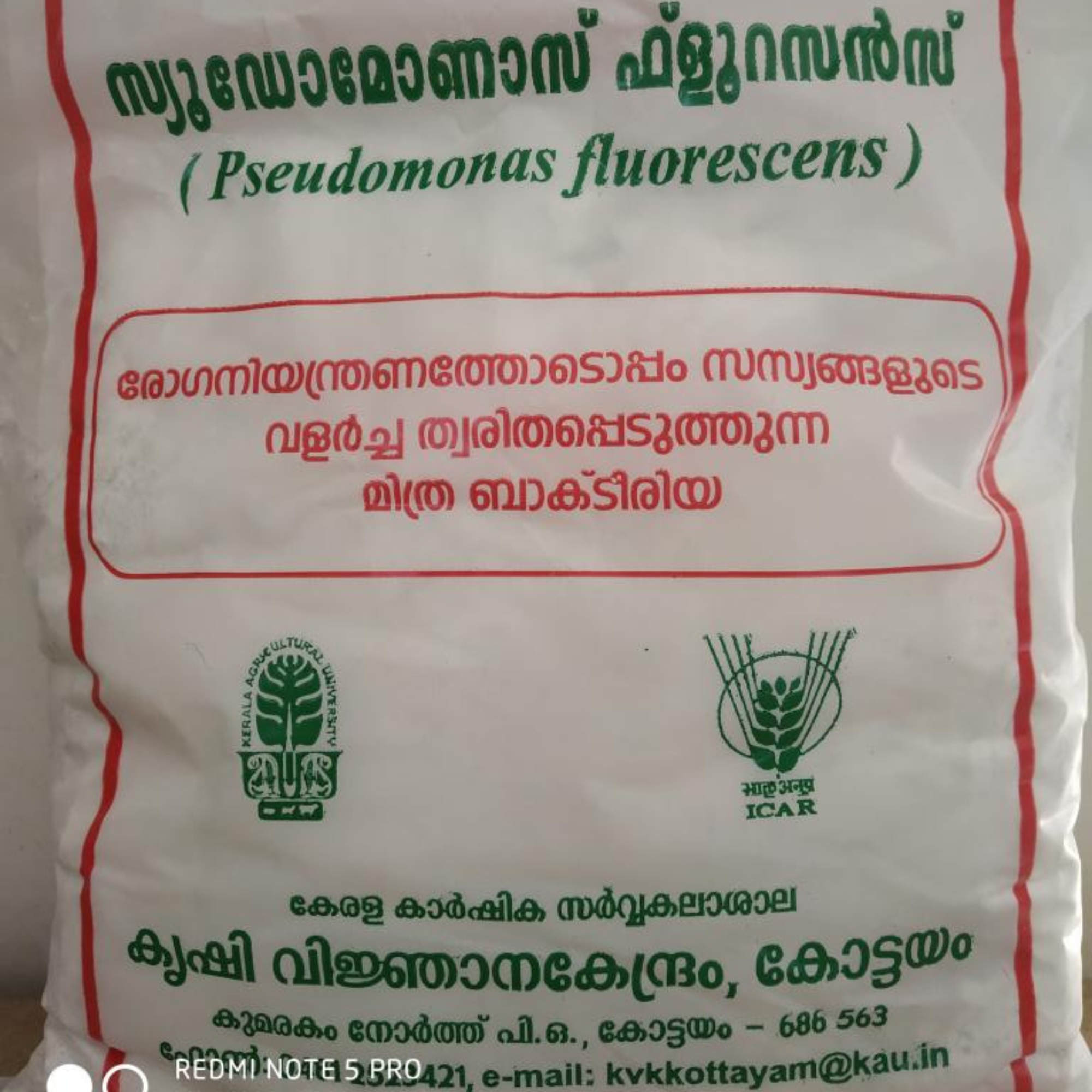 Mass Production Of Pseudomonas